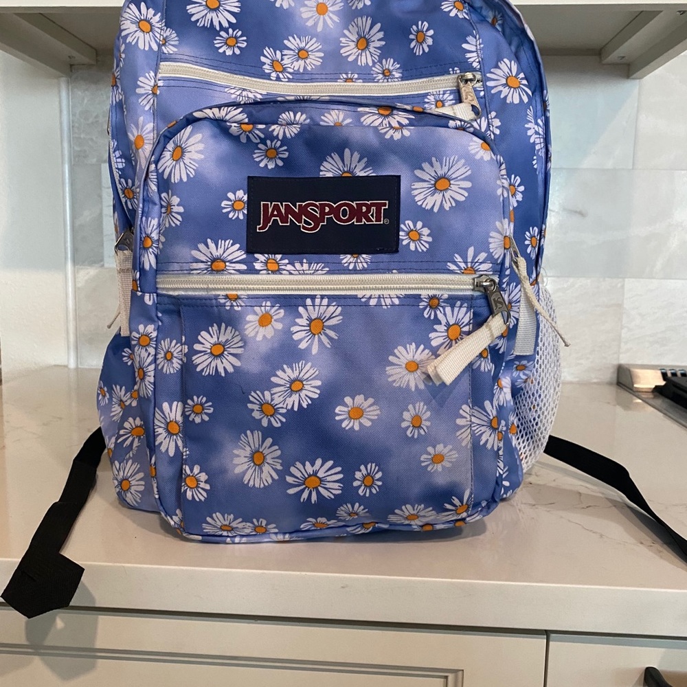 Backpack - Picture 2 of 5